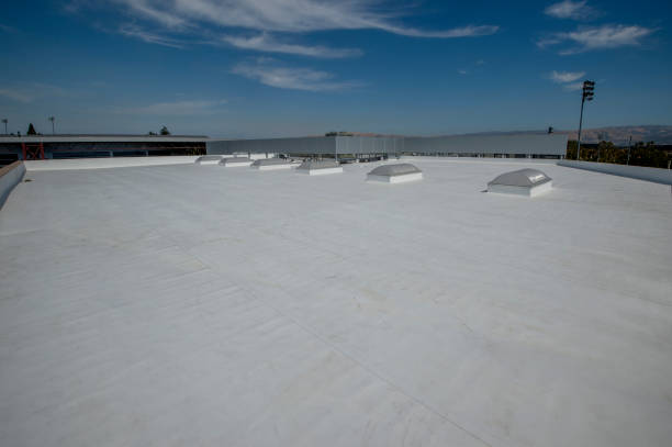 Best Roof Insulation Installation  in Plentywood, MT