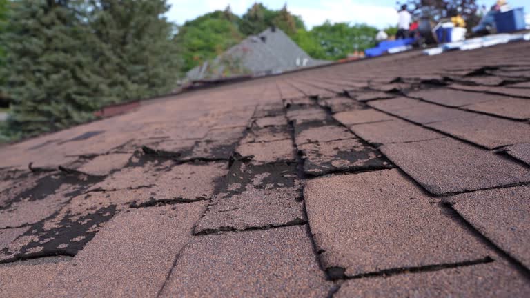 Best Hot Roofs  in Plentywood, MT