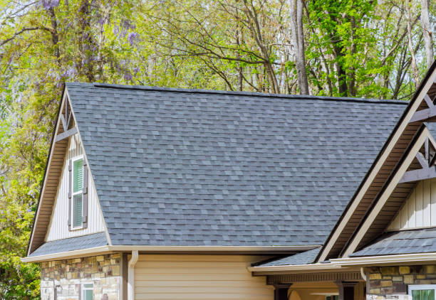 Best Skylight Installation and Repair  in Plentywood, MT